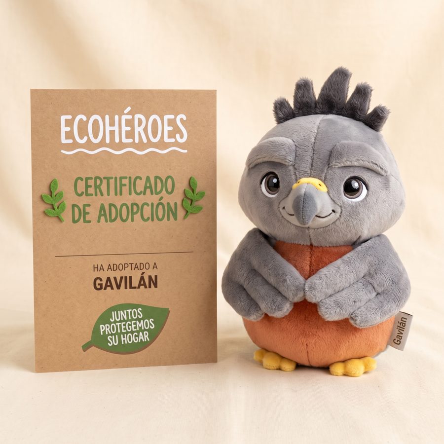 Kit de adopción · Gavilán